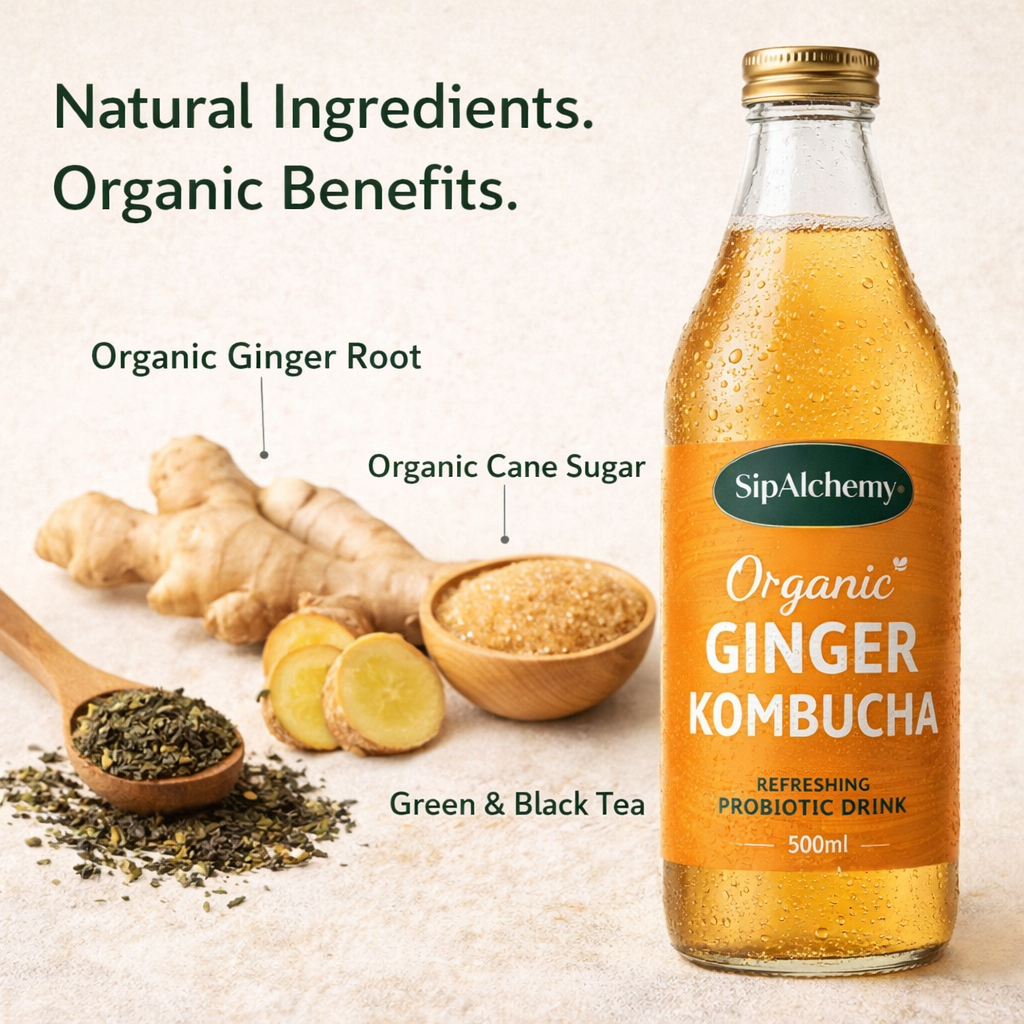 GingerZipKombucha - Image 3
